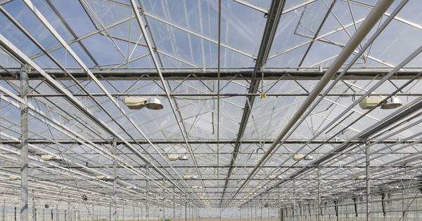 Kwekerij Hoogerbrugge woest op de gemeente Bergen op Zoom - BN DeStem