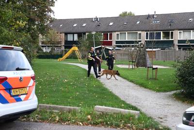 Politie zoekt met helikopter en speurhonden naar verdachte man in Tiel