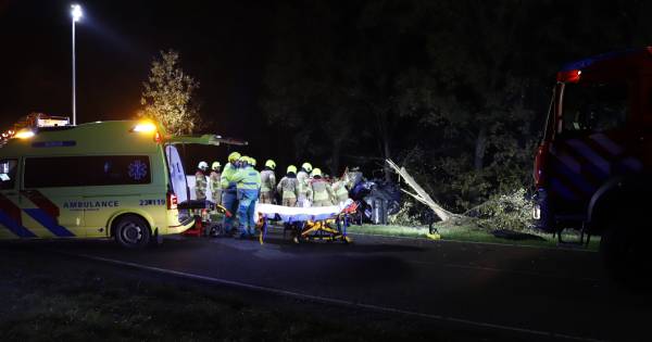 Bestuurder ernstig gewond bij zwaar eenzijdig ongeluk in Maashees.