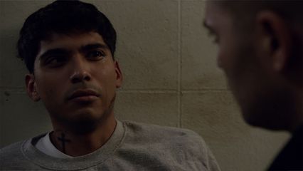 12. The Good Shepherd