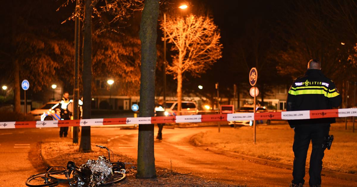 Meisje (16) ernstig gewond bij steekpartij Montfoort: ‘Hij rende plotseling de straat op en stak op haar in'.