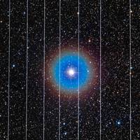 Astronomen pissig op Elon Musk: Starlink-satellieten benemen hen het zicht op het universum