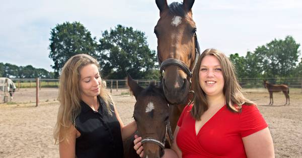 'Paarden'singles in Teteringen: na de site de speeddate