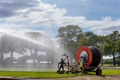 Beregeningsverbod funest voor Liemerse boeren: vrees voor terugkerende muizenplaag