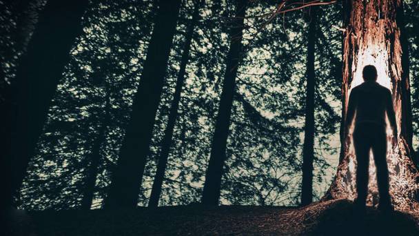 The Wonderland Murders