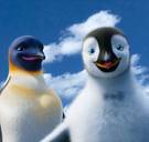 Dit mag u niet missen op tv vanavond