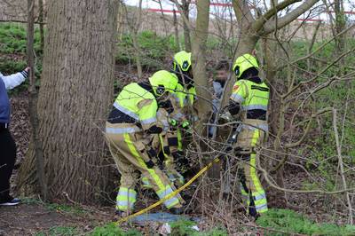 Brandweer bevrijdt kind dat met been vastzit in boom