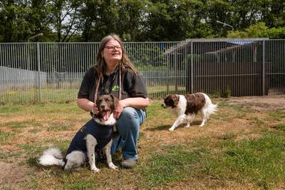 In het hondenhotel in Diepenheim krijgen alle gasten all-inclusive