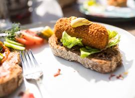 Een broodje kaas of een broodje kroket? Een diëtist geeft antwoord