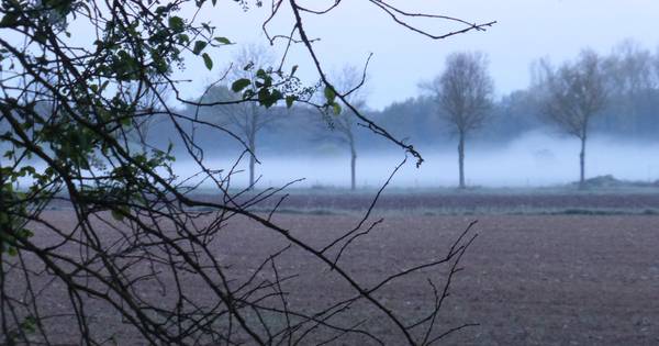 Excursie IVN Bakel naar landgoed in Mill