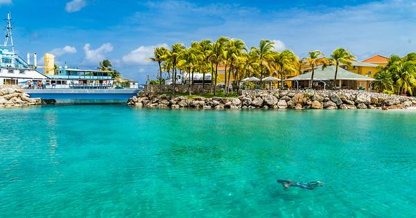Veroordeelde mag naar Curaçao voor zieke moeder maar komt niet terug
