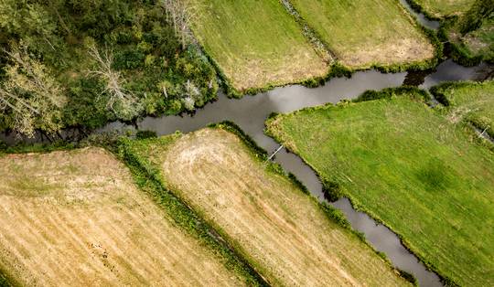 Hoe natte natuur Vlaanderen wapent tegen droogte en overstromingen: ‘Het hele gebied doet dienst als een gigantische spons’