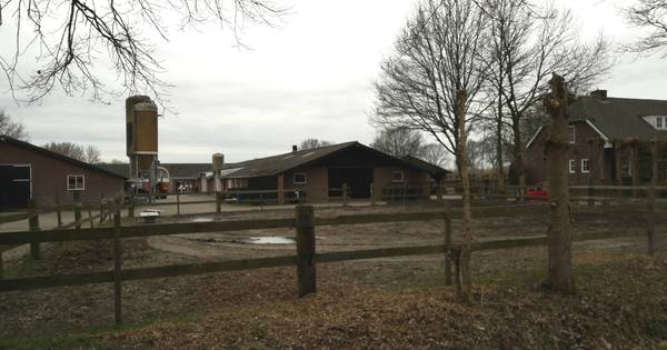 Varkenshouderij minder in Heukelom: gemeente Oisterwijk blij met ‘ontstening’