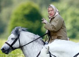 Déze royal neemt de racepaarden van koningin Elizabeth over