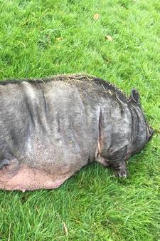 Mijn man heeft geen gevoelens meer voor mij