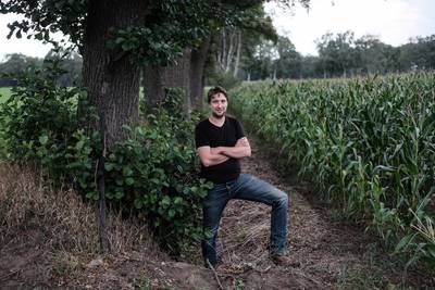 Maisvelden deels nog gered door regen van afgelopen week