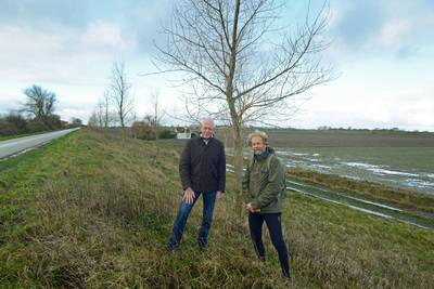 Schouwen-Duiveland zou een voorbeeld moeten nemen aan Walcheren, ‘de Tuin van Zeeland’