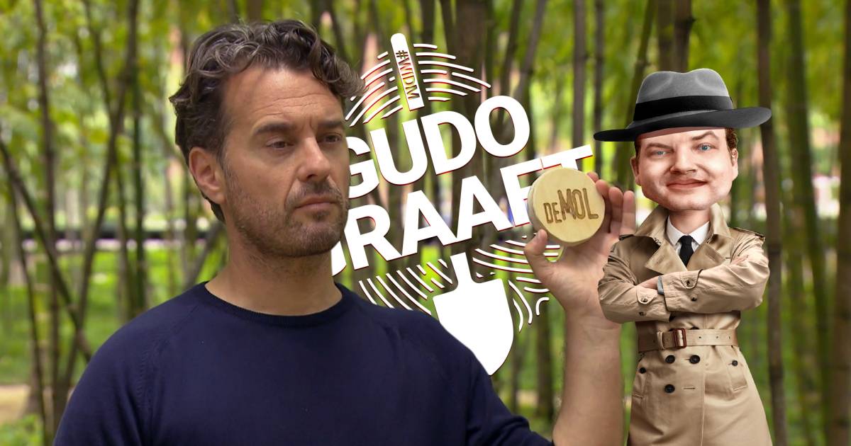 Heeft De Mol Zich Versproken Show Bd Nl