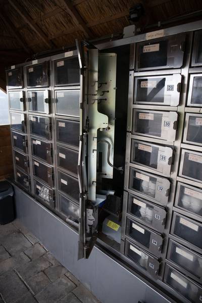 Boer in onderbroek is eierdieven veel te snel af