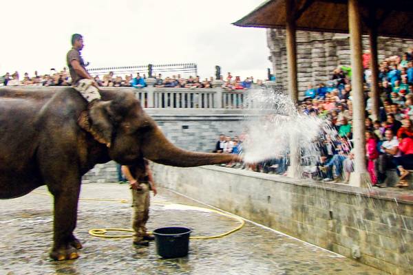 ExpÃ©dition Pairi Daiza