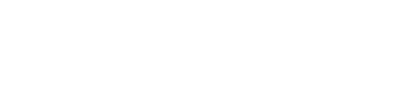Allegiance
