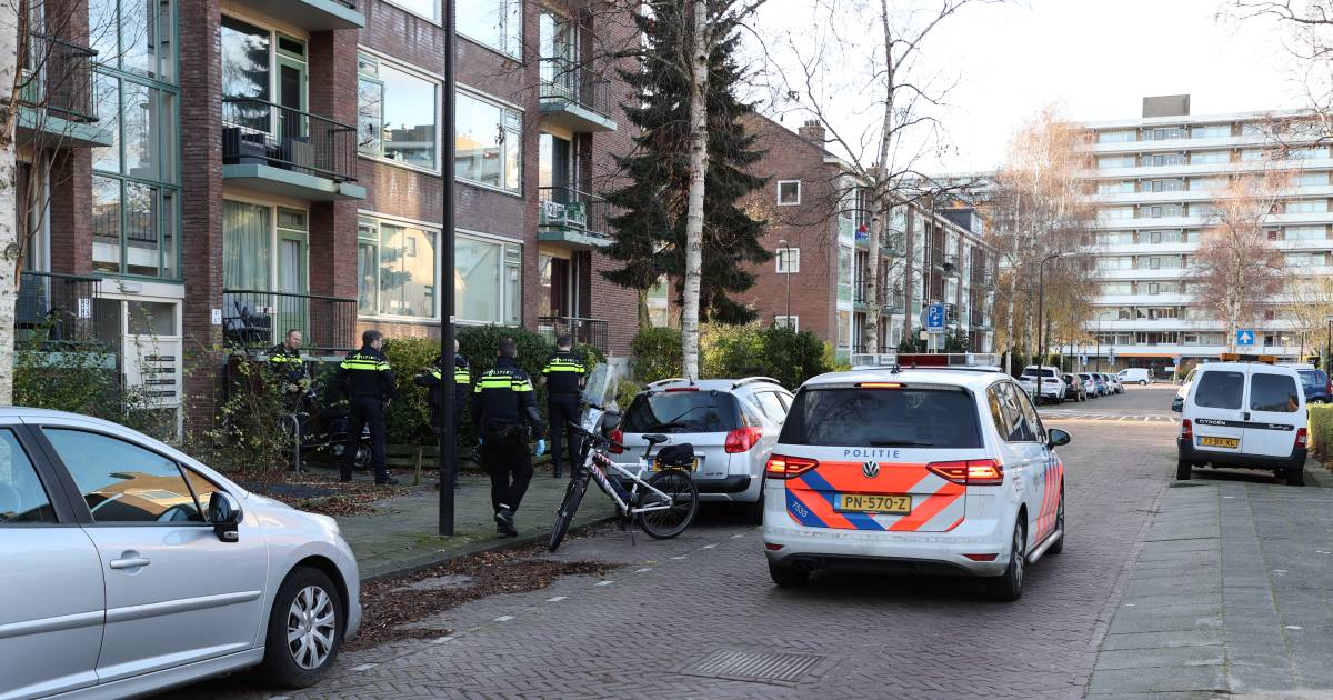 Politie lost waarschuwingsschot bij aanhouding verward persoon in Rijswijk .
