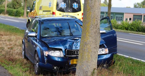 Automobiliste botst tegen boom bij Gassel | Grave | gelderlander.nl - De Gelderlander