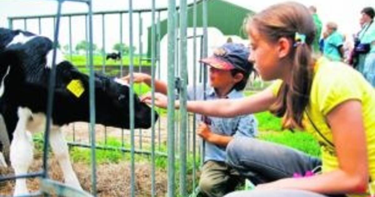 Rondleidingen in kader van Toer de Boer in Den Hout, Dorst en Oosteind