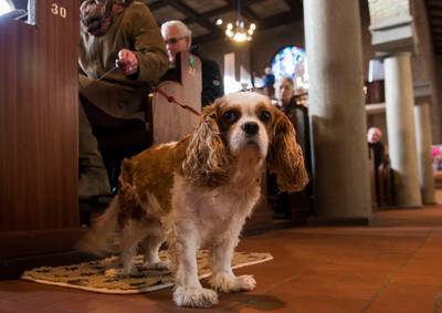 Hubertusviering in Rekken: honden welkom in de kerk