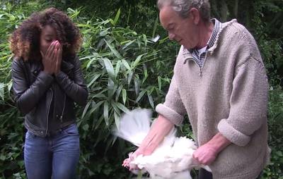 Studenten nemen kippen in huis en slachten ze zelf