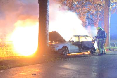 Auto knalt tegen boom en vliegt in brand op kruising in Horssen