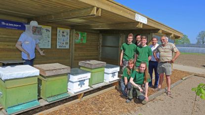 Tuinbouwschool heeft eigen bijenkolonie