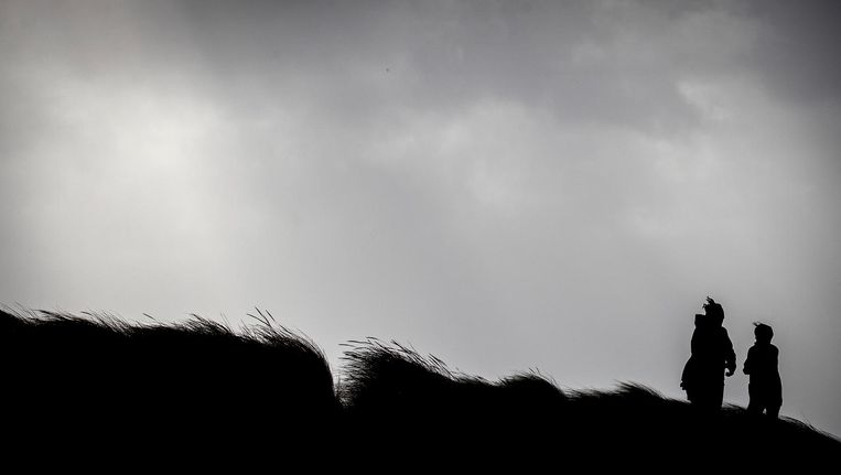 Laten we twijfelen! Laten we rustig aan doen!' | Het Parool