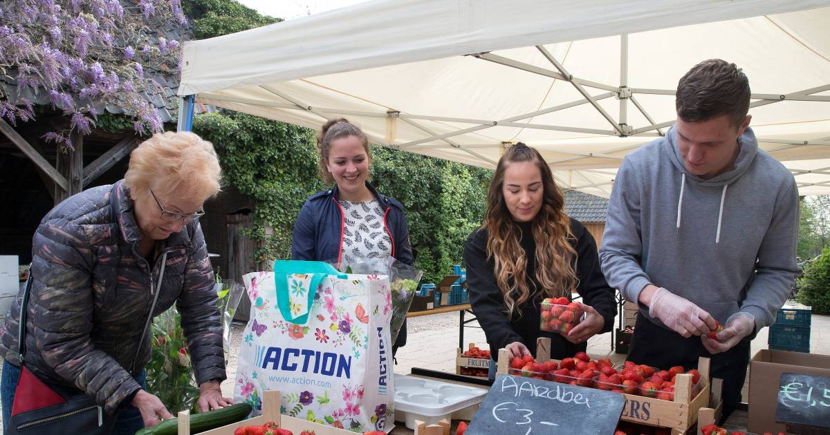 Tuinbouwers komen handen tekort voor de oogst: 'Een doemscenario' - De Gelderlander
