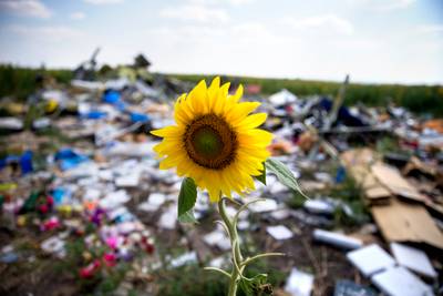 Nabestaanden MH17: stop respectloze omgang menselijke resten