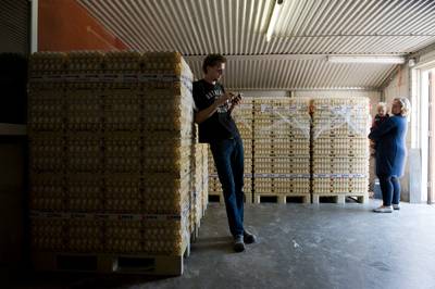 Pluimveehouder Jacco (35) toont zijn gifeieren-leed