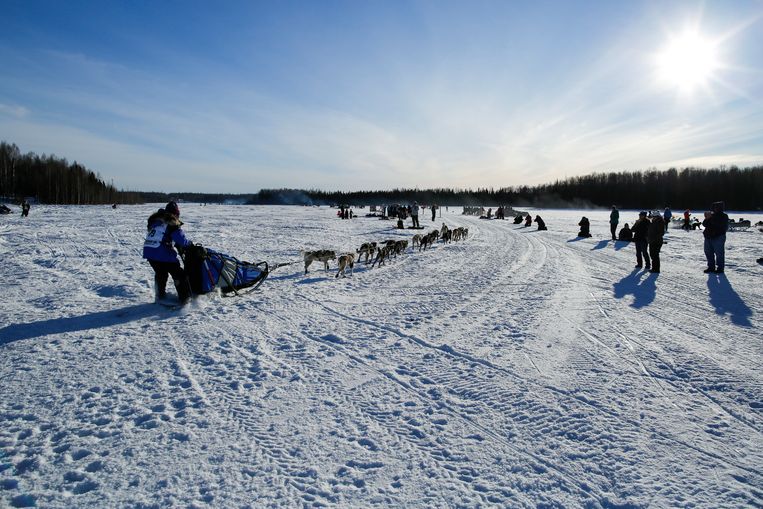 De Iditarod, foto uit 2016.