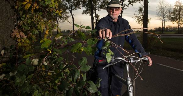 Henk Westerveld is helemaal klaar met overhangende takken