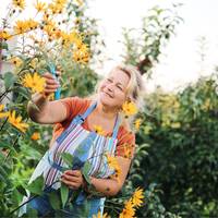Zo ontvang je tot wel €2.000 subsidie voor het vergroenen van je tuin