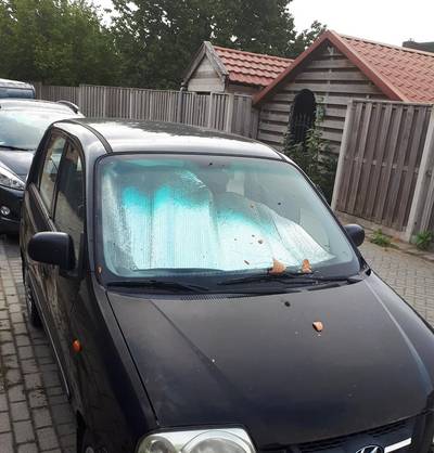 Onbekenden vernielen auto van 88-jarige man uit Goor