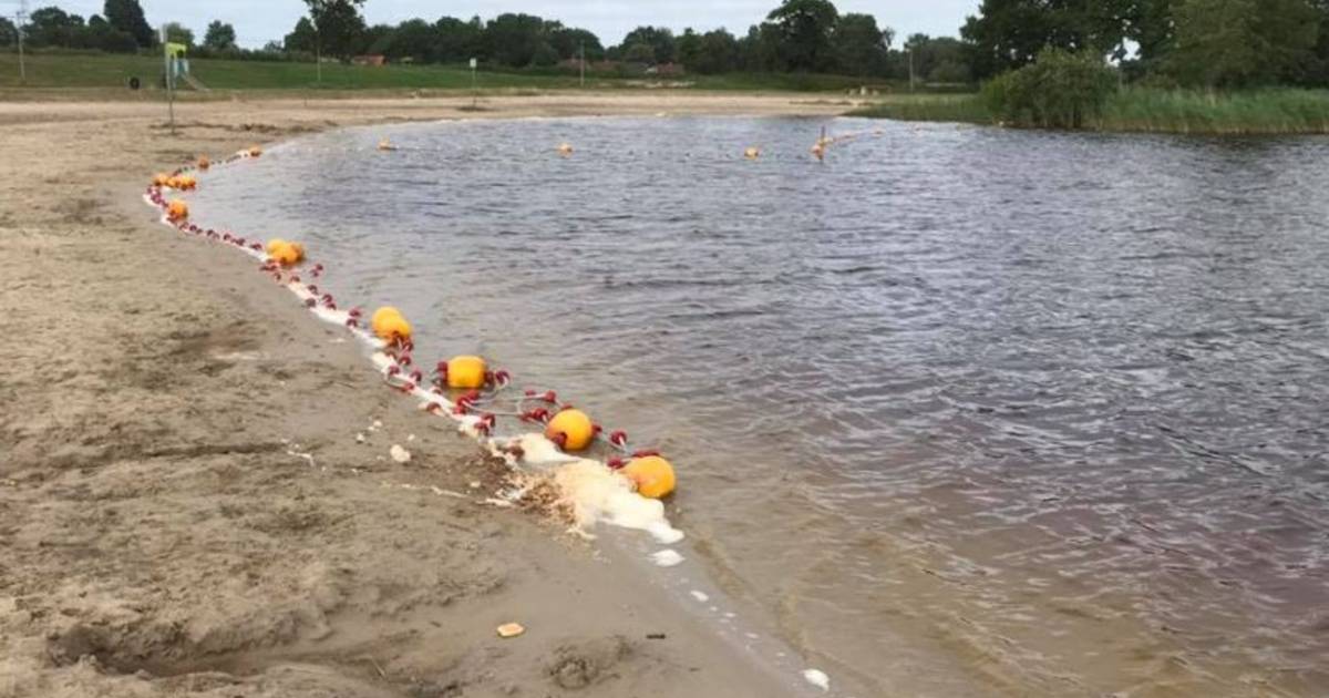 Meisje duikt op afgebroken paal in Kotermeerstal Dedemsvaart: diepe vleeswond - De Stentor